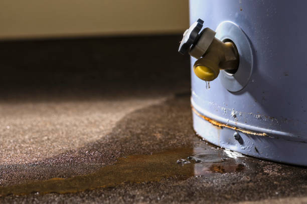 Best Commercial water damage restoration  in Blue Ridge, VA