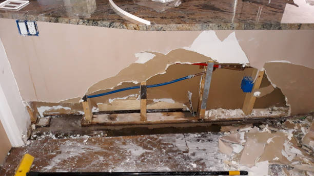 Best Water damage repair service  in Blue Ridge, VA
